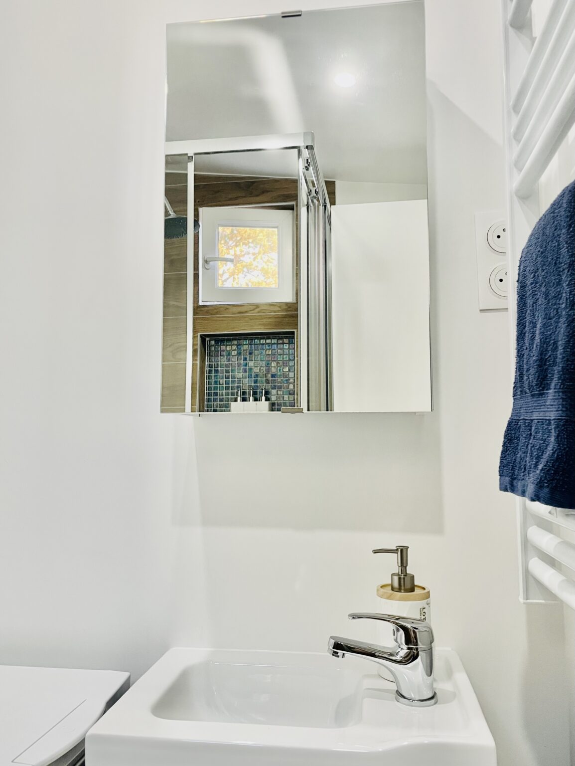 Salle d'eau, lavabo et miroir – Rez de Jardin, Varreddes